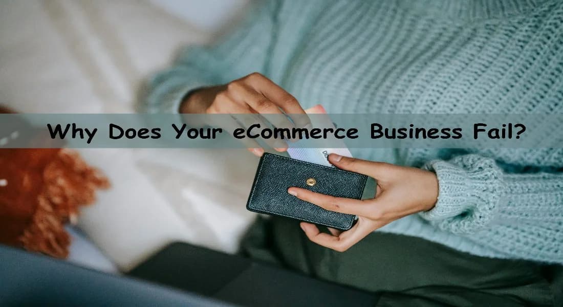 Common Reasons Why eCommerce Business Fails